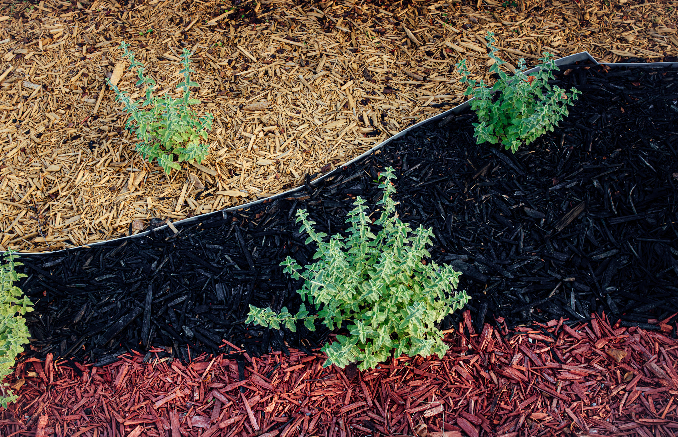 Choose the Right Mulch for Your Landscaping Project